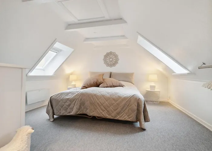 Pet Friendly In With Kitchen