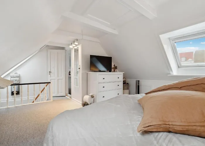 Pet Friendly In With Kitchen